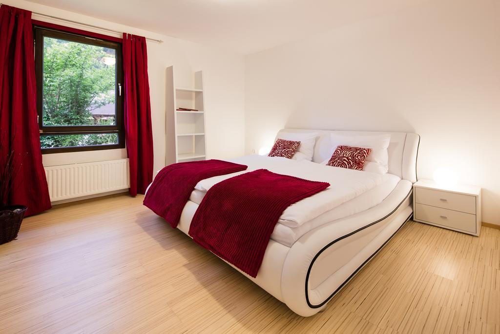 W & S Executive Apartments - Hallstatt I Extérieur photo