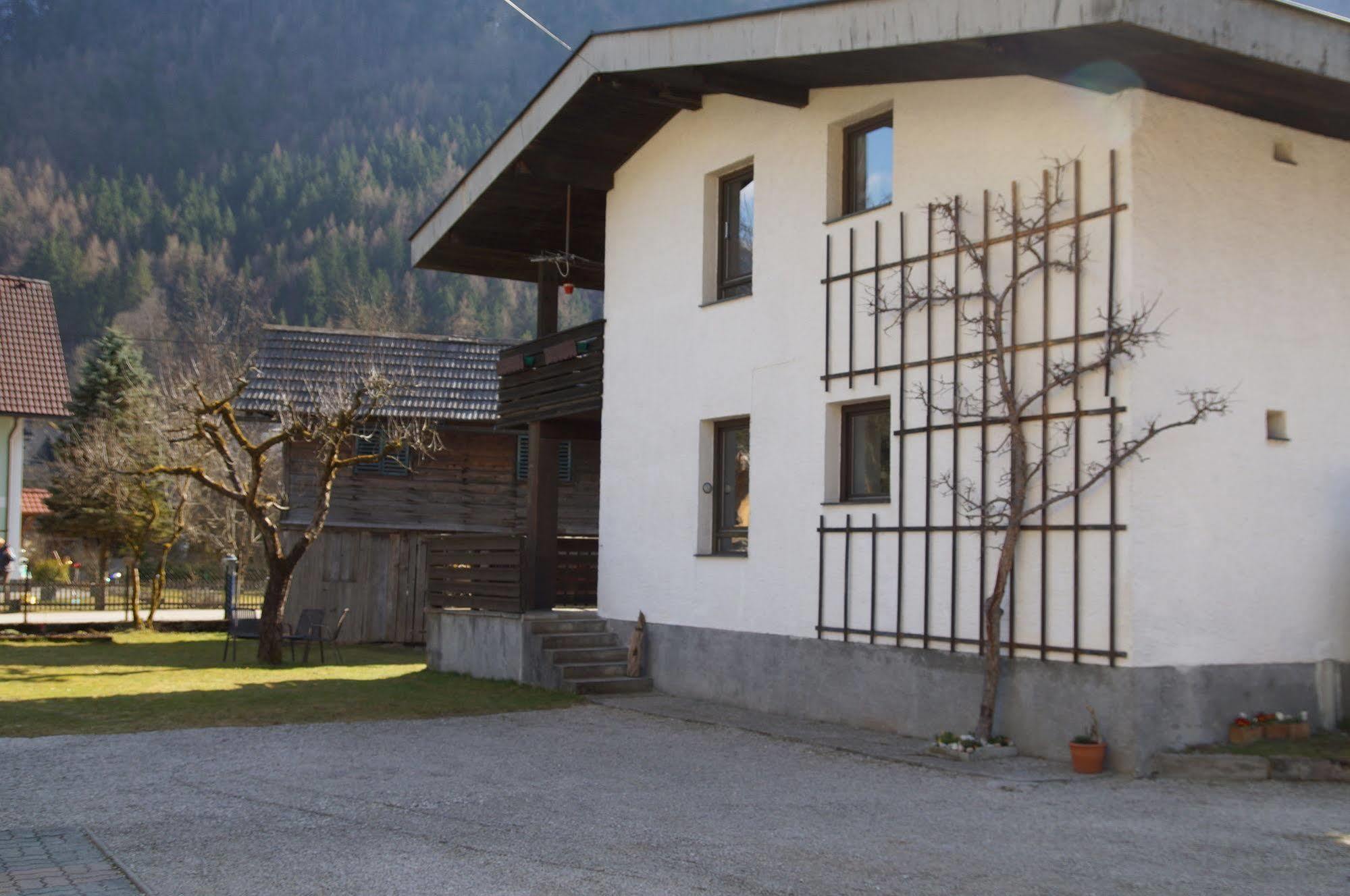 W & S Executive Apartments - Hallstatt I Extérieur photo