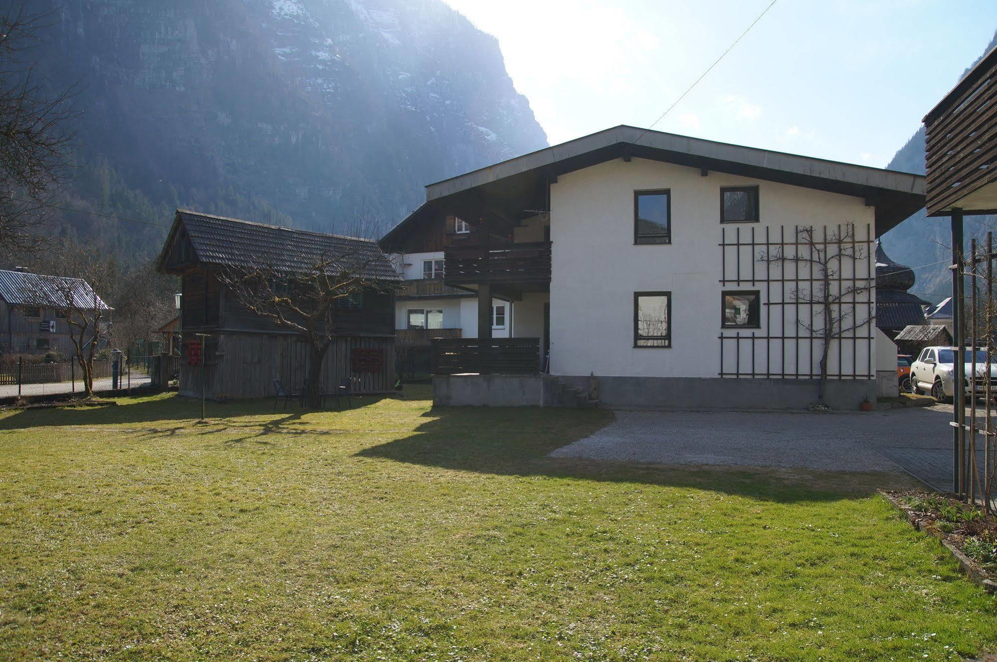 W & S Executive Apartments - Hallstatt I Extérieur photo